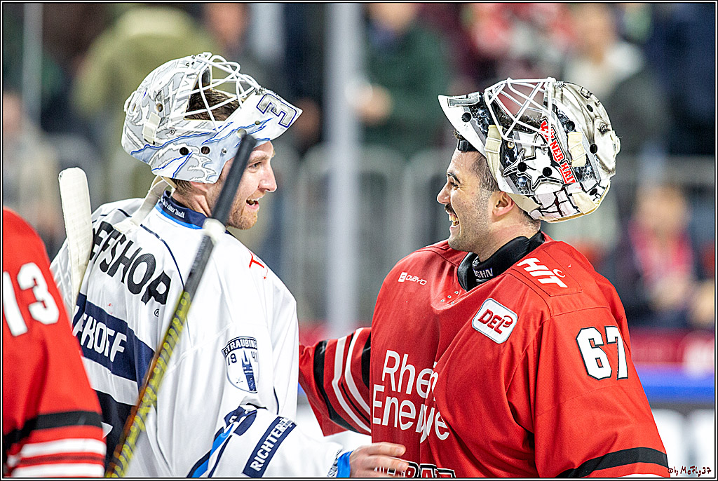 DEL; Koelner Haie - Straubing Tigers; Koeln, 17.11.2019